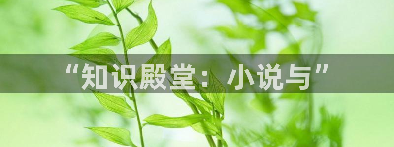 海棠小说双男：“知识殿堂：小说与”