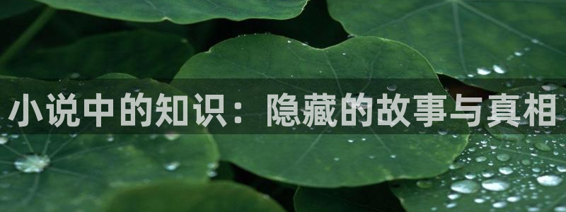 海棠小说网免费阅读：小说中的知识：隐藏的故事与真相