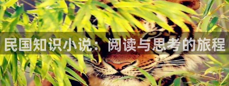 男男海棠小说：民国知识小说：阅读与思考的旅程
