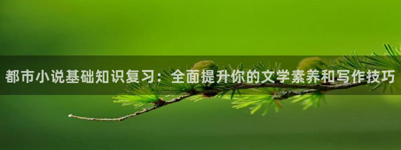 阶前误海棠小说笔趣阁：都市小说基础知识复习：全面提升你的文学素养和写作技巧
