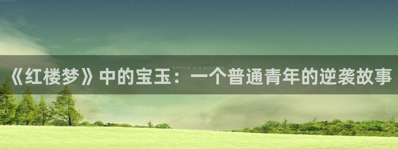 父子海棠小说：《红楼梦》中的宝玉：一个普通青年的逆袭故事