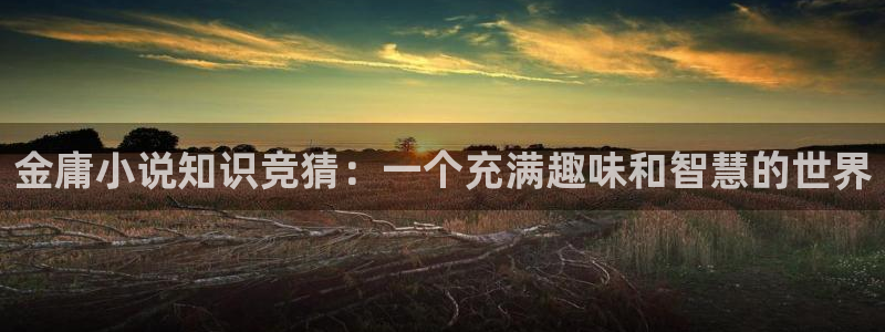 海棠小说po文：金庸小说知识竞猜：一个充满趣味和智慧的世界
