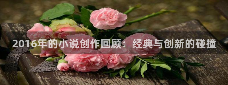 海棠小说网站网址：2016年的小说创作回顾：经典与创新的碰撞