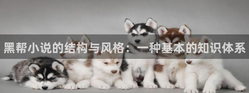 abo海棠小说：黑帮小说的结构与风格：一种基本的知识体系