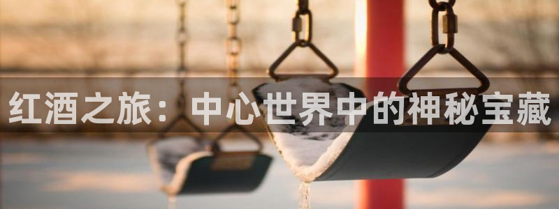 海棠小说双男主：红酒之旅：中心世界中的神秘宝藏