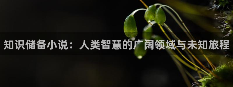 劳模战海棠小说全文免费阅读：知识储备小说：人类智慧的广阔领域与未知旅程