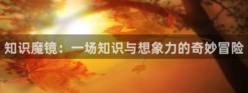大鱼海棠小说版：知识魔镜：一场知识与想象力的奇妙冒险