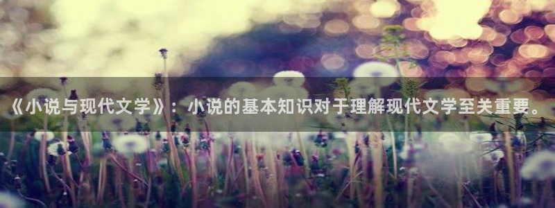 海棠小说在线阅读全文：《小说与现代文学》：小说的基本知识对于理解现代文学至关重要。