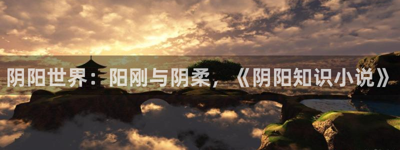 海棠小说网站免费阅读无弹窗：阴阳世界：阳刚与阴柔，《阴阳知识小说》